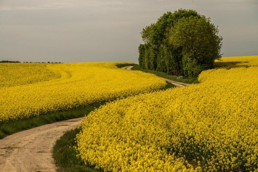 Eco Gite Argonne, Gite Insolite Lisle-en-Barrois Exterior foto